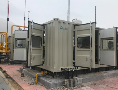 某能源环保公司D型天然气压缩机