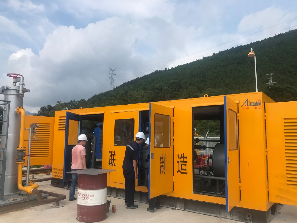 贵州某公司D型天然气压缩机